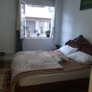 https://hostel-oakland.hotels-in-tirana.com